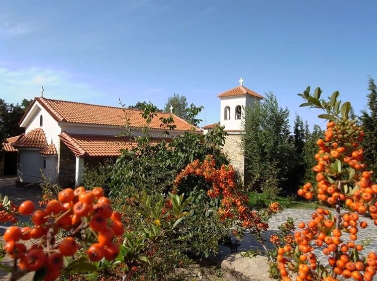 Πανθεσσαλική γιορτή ανταλλαγής σπόρων