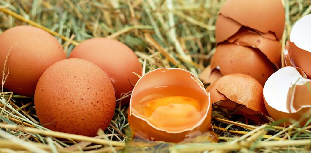 Θετικές εξελίξεις για τον κλάδο του αυγού
