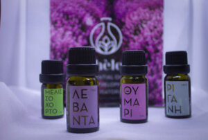 ETHELEO: Επέκταση σε Ελλάδα και εξωτερικό